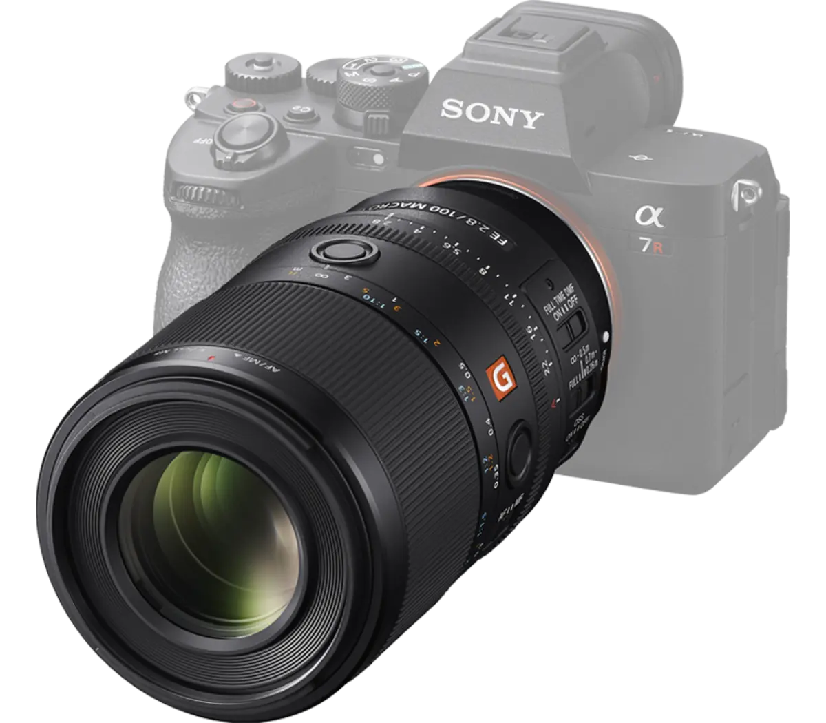 Grossissement maximal de 1,4x dans le système d'exploitation polyvalent FE 100 mm F2.8 Macro GM de Sony Modèle : SEL100M28GM – Image 8