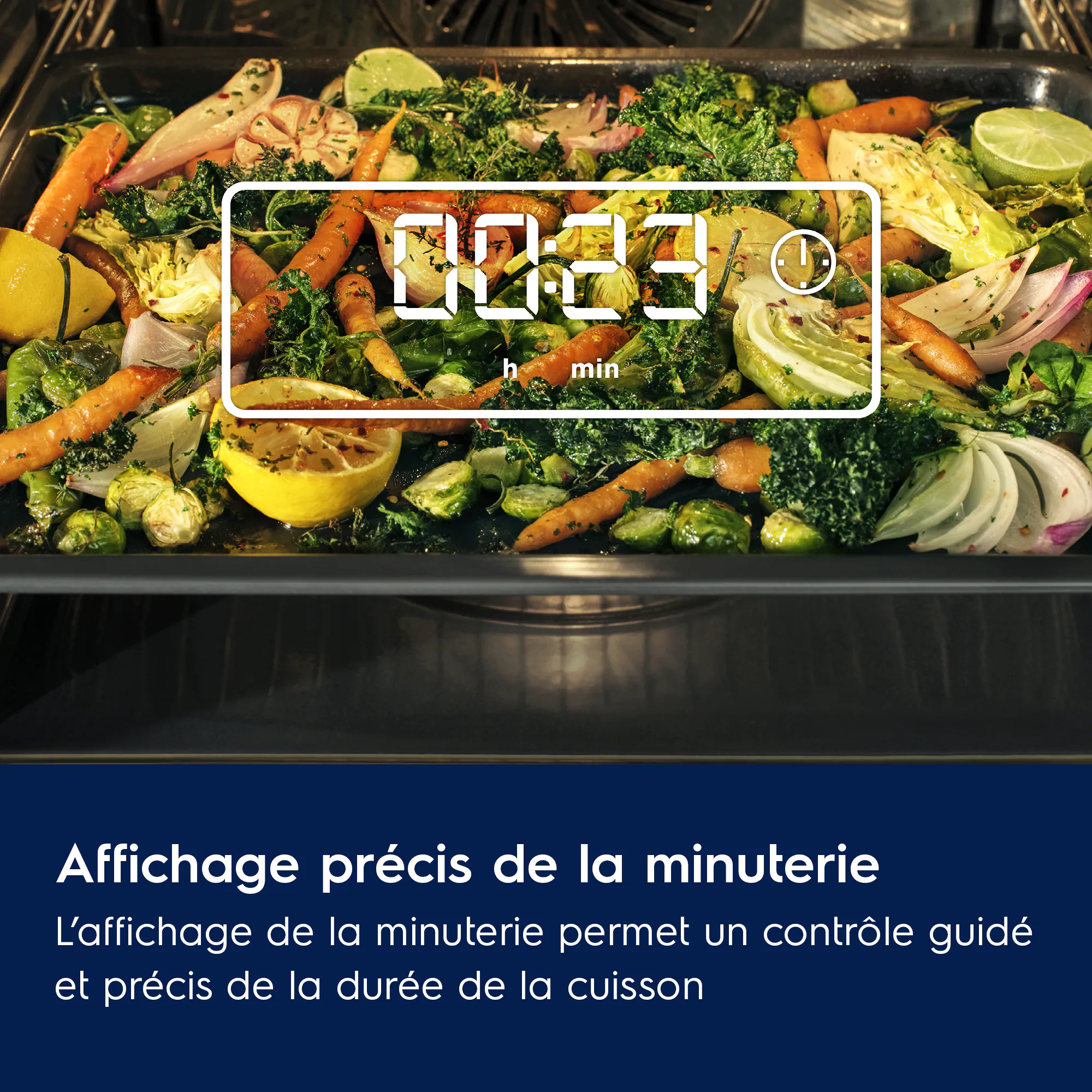 Four Encastrable Catalyse partielle 500 SurroundCook®EOF3C44TX – Image 4